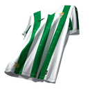 Córdoba CF - Camiseta local - Joma - La Liga 2 - Temporada 2024-2025 - Diseño único - Detalles - Equipación - Fútbol - LaLiga - España - Club - Nueva camiseta - Lanzamiento - Equipamiento deportivo - Fútbol español - Diseño moderno - Tradicional - Clásico - Moderno - Estilo - Rendimiento - Confort - Tecnología - Innovación.