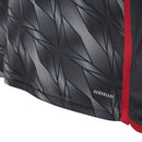 JERSEY FLAMENGO THIRD MEN 24/25